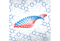 Biochemical Estimations